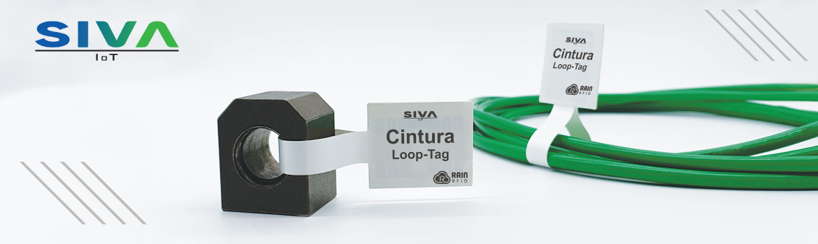 Cintura Loop RFID Tag